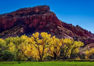 12019 new mexico 1804590 1920