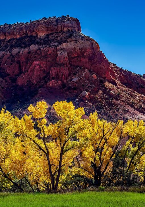 12019 new mexico 1804590 1920