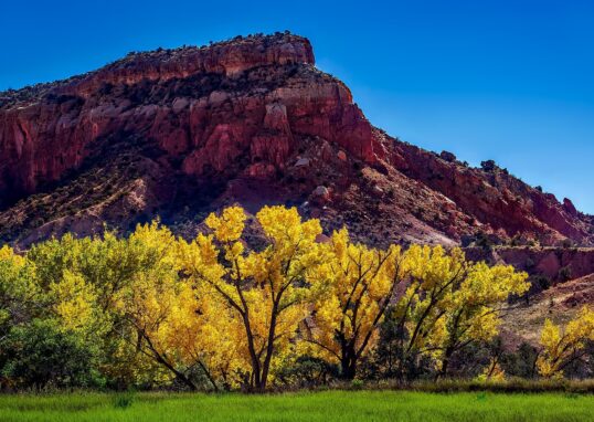 12019 new mexico 1804590 1920