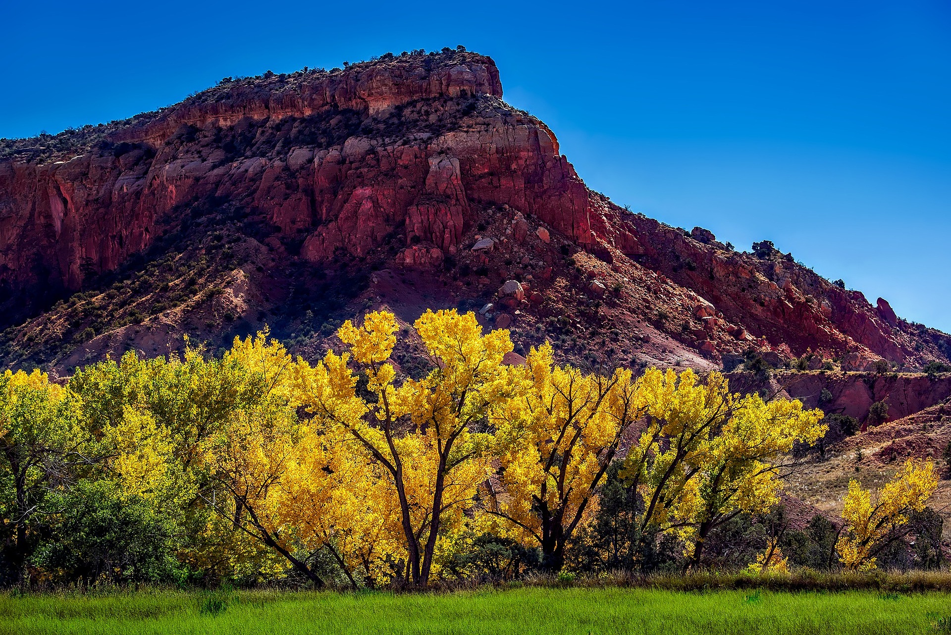 12019 new mexico 1804590 1920